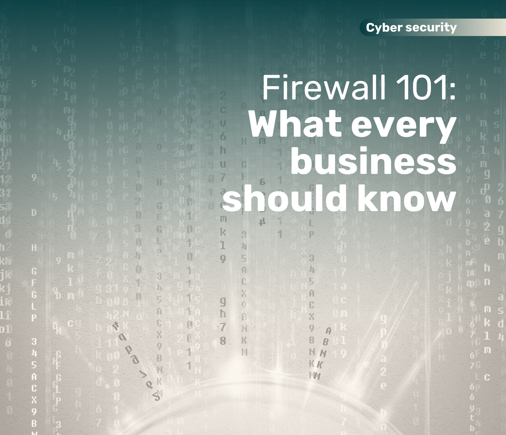 Firewall 101 : What Every Business Should Know